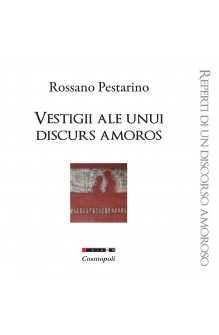 Vestigii ale unui discurs...